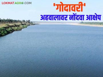 Godavari River : 'गोदावरी' अहवालावर हरकती नोंदविण्यासाठी मुदतवाढ वाचा सविस्तर - Marathi News | Godavari River: Extension of time to file objections on 'Godavari' report, read in detail | Latest News at Lokmat.com