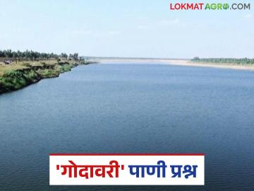 Godavari River: 'गोदावरी'चा मराठीत अहवाल नाहीच; आक्षेप दाखल करण्यासाठी आज शेवटचा दिवस वाचा सविस्तर - Marathi News | Godavari River: latest news There is no report on 'Godavari' in Marathi; Today is the last day to file objections Read in detail | Latest News at Lokmat.com
