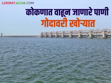 Godavari Khore : मराठवाड्याच्या दुष्काळ मुक्तीसाठी पश्चिमेचे पाणी गोदावरी खोऱ्यात वळविण्याबाबत सरकारला नोटीस - Marathi News | Godavari Khore : Notice to the government regarding diversion of western water to the Godavari Valley | Latest News at Lokmat.com
