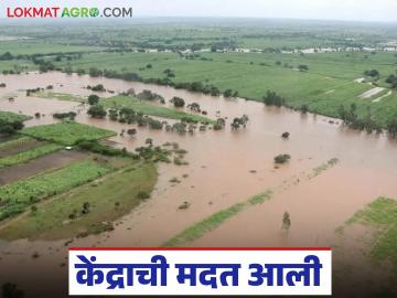 दिवाळी गोड! केंद्र सरकारकडून पूरग्रस्तांच्या मदतीसाठी दुसरा हप्ता आला; अजून एक हप्ता लवकरच येणार - Marathi News | The second installment of assistance for flood victims has arrived from the central government; another installment will be coming soon | Latest News at Lokmat.com दिवाळी गोड! केंद्र सरकारकडून पूरग्रस्तांच्या मदतीसाठी दुसरा हप्ता आला; अजून एक हप्ता लवकरच येणार - Marathi News | The second installment of assistance for flood victims has arrived from the central government; another installment will be coming soon | Latest News at Lokmat.com