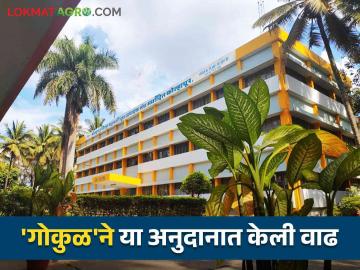 Gokul Dudh: जिल्ह्यातील प्राथमिक दूध संस्थांच्या बळकटीसाठी 'गोकुळ'ने घेतला हा मोठा निर्णय - Marathi News | Gokul Dudh: This big decision was taken by 'Gokul' to strengthen primary milk organization in the district | Latest News at Lokmat.com