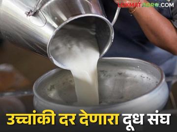 राज्यात दुधाला सर्वाधिक दर देणारा हा दूध संघ शेतकऱ्यांना देणार १३६ कोटींचा फरक; वाचा सविस्तर - Marathi News | This milk association, which offers the highest price for milk in the state, will give the difference of Rs 136 crore to farmers; Read in detail | Latest News at Lokmat.com राज्यात दुधाला सर्वाधिक दर देणारा हा दूध संघ शेतकऱ्यांना देणार १३६ कोटींचा फरक; वाचा सविस्तर - Marathi News | This milk association, which offers the highest price for milk in the state, will give the difference of Rs 136 crore to farmers; Read in detail | Latest News at Lokmat.com
