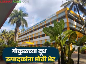 Gokul Milk : हीरकमहोत्सवी वर्षानिमित्त गोकुळ दूध संघ शेतकऱ्यांना रिबेटमध्ये देणार जादा पैसे - Marathi News | Gokul Milk : Gokul Milk Association will give extra money to farmers in rebates on the occasion of Diamond Jubilee year | Latest News at Lokmat.com Gokul Milk : हीरकमहोत्सवी वर्षानिमित्त गोकुळ दूध संघ शेतकऱ्यांना रिबेटमध्ये देणार जादा पैसे - Marathi News | Gokul Milk : Gokul Milk Association will give extra money to farmers in rebates on the occasion of Diamond Jubilee year | Latest News at Lokmat.com