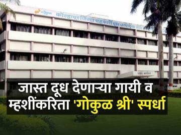 कोल्हापुरातील पशुपालकांनो 'गोकुळ श्री' स्पर्धेत सहभागी व्हा; जिंका आकर्षक बक्षिसे - Marathi News | Farmers of Kolhapur district participate in the 'Gokul shree' competition; Win attractive prizes | Latest News at Lokmat.com