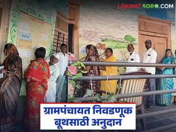Gram panchayat Election : ग्रामपंचायत निवडणुकीच्या मतदान केंद्रासाठी शासन किती रुपये खर्च करते, किती अनुदान देते? 