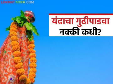 यंदाच्या गुढीपाडव्यावर अमावस्येचं सावट; नक्की गुढी कधी व कशी उभारायची? जाणून घ्या सविस्तर - Marathi News | This year's Gudi Padwa 2026 will be marked by a new moon; When and how to erect the Gudi? Find out in detail | Latest News at Lokmat.com