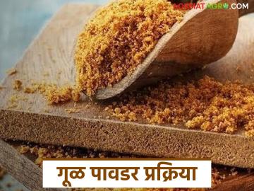 गूळ पावडर कशी तयार केली जाते, गुळ, साखरेबरोबरच गूळपावडरीतून किती नफा मिळतो? 