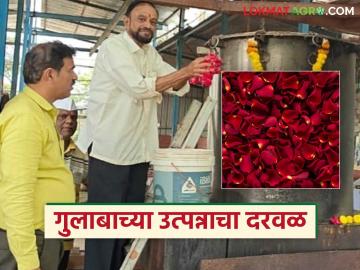 गुलाबाच्या फुलापासून गुलाबजल व अगरबत्ती निर्मितीचा यशस्वी प्रयोग; करार करून विक्रीचे नियोजन - Marathi News | Successful experiment in producing rose water and incense sticks from rose flowers; Planning for sale by signing a contract | Latest News at Lokmat.com