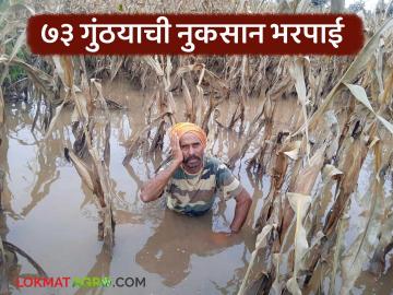 Nuksan Bharpai : 73 गुंठ्यातील मक्याचे नुकसान; भरपाई मात्र 5 हजार रुपये, वाचा कांद्याला किती मिळाली  - Marathi News | Latest News Nuksan Bharpai Damage to maize in 73 gunthas; Compensation only Rs 5 thousand | Latest News at Lokmat.com