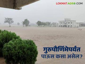 Maharashtra Rain : गुरुपौर्णिमेपर्यंतच्या पाच दिवसात 'या' सहा जिल्ह्यांत जोरदार पावसाची शक्यता! - Marathi News | Latest News Heavy rain likely in six districts in five days leading up to Guru Purnima | Latest News at Lokmat.com Maharashtra Rain : गुरुपौर्णिमेपर्यंतच्या पाच दिवसात 'या' सहा जिल्ह्यांत जोरदार पावसाची शक्यता! - Marathi News | Latest News Heavy rain likely in six districts in five days leading up to Guru Purnima | Latest News at Lokmat.com