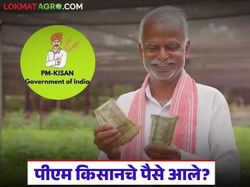 पीएम किसानच्या 21 वा हफ्त्याचे पैसे आले का? दोन मिनिटांत असं करा चेक, वाचा सविस्तर  - Marathi News | Latest News Pm Kisan Hafta money for 21st installment of PM Kisan Check in two minutes, read in detail | Latest News at Lokmat.com