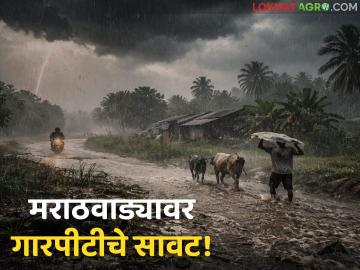 Hailstorm Alert in Marathwada : मराठवाड्यावर गारपीटीचे सावट; 'या' ५ जिल्ह्यांना पुढील ४८ तास धोक्याचे वाचा सविस्तर - Marathi News | latest news Hailstorm Alert in Marathwada: Hailstorm in Marathwada; These 5 districts are at risk for the next 48 hours. Read in detail | Latest News at Lokmat.com