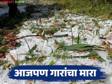 Maharashtra Rain Update : राज्यात पुन्हा होणार गारांचा मारा; 'या' १२ जिल्ह्यांत पावसाचा ऑरेंज अलर्ट - Marathi News | Maharashtra Rain Update : Hailstorms will hit the state again; Orange alert for rain in these 12 districts | Latest News at Lokmat.com