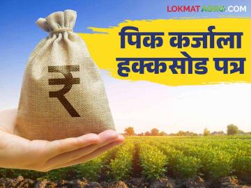Hakka Sod Patra : पीक कर्जासाठी हक्कसोडपत्राची साडेसाती; कसे करतात हक्कसोड पत्र? - Marathi News | Hakka Sod Patra : Relinquishment deed make problem in crop loan; how to do relinquishment deed | Latest News at Lokmat.com