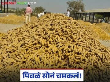 Halad Bajarbhav : पिवळं सोनं चमकलं; 'या' बाजारात मिळाला १५ हजारांचा भाव - Marathi News | latest news Halad Bajarbhav: Yellow gold shines; 'Ya' gets price of 15 thousand in the market | Latest News at Lokmat.com Halad Bajarbhav : पिवळं सोनं चमकलं; 'या' बाजारात मिळाला १५ हजारांचा भाव - Marathi News | latest news Halad Bajarbhav: Yellow gold shines; 'Ya' gets price of 15 thousand in the market | Latest News at Lokmat.com