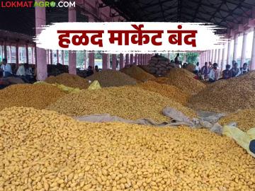 Hingoli Halad Market Yard : हळद मार्केट यार्ड बंद; आता काय करणार शेतकरी? - Marathi News | latest news Hingoli Halad Market Yard: Turmeric Market Yard closed; What will farmers do now? | Latest News at Lokmat.com Hingoli Halad Market Yard : हळद मार्केट यार्ड बंद; आता काय करणार शेतकरी? - Marathi News | latest news Hingoli Halad Market Yard: Turmeric Market Yard closed; What will farmers do now? | Latest News at Lokmat.com