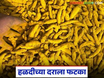 यंदा २० हजाराचा टप्पा गाठलेल्या हळदीच्या दरावरही युद्धाचा परिणाम; सद्या काय मिळतोय दर? - Marathi News | The war has also affected the price of turmeric, which has reached the 20,000 mark this year; What is the price being paid now? | Latest News at Lokmat.com