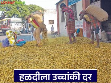 Halad Market : वाशिम बाजार समितीत हळदीला उच्चांकी दर; मागणीचा मिळतोय फायदा - Marathi News | latest news Halad Market: High price of turmeric in Washim Market Committee; Benefiting from demand | Latest News at Lokmat.com