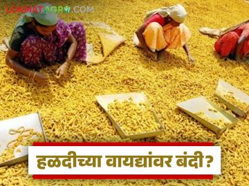 Halad Vayde Bajar : हळदीच्या वायदे बाजाराला बंदी घातली तर... फ्युचर रेट कळतील का? - Marathi News | Latest News halad vayde bajar Traders demand ban on turmeric futures market | Latest News at Lokmat.com Halad Vayde Bajar : हळदीच्या वायदे बाजाराला बंदी घातली तर... फ्युचर रेट कळतील का? - Marathi News | Latest News halad vayde bajar Traders demand ban on turmeric futures market | Latest News at Lokmat.com