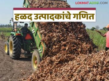 Halad Lagvad : हळद लागवडीचा एकरी खर्च किती रुपये होतो अन् हातात उरतात किती? - Marathi News | Latest News Halad Lagvad cost and yield per acre of turmeric cultivation see details | Latest News at Lokmat.com