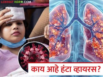 Hantavirus : नेमका काय आहे हंटा व्हायरस? जाणून घ्या संसर्ग, लक्षणे आणि खबरदारीबाबत उपाय - Marathi News | Hantavirus : What exactly is Hantavirus? Know about infection, symptoms and precautions | Latest farming-ideas News at Lokmat.com