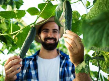 आरोग्य पेरणी -शेतकरी मित्रांनो, तुमचं व्यक्तिमत्व कुठल्या प्रकारचं? जाणून घ्या रहस्य - Marathi News | Arogya perani type A and type B personality in farmers revels | Latest News at Lokmat.com