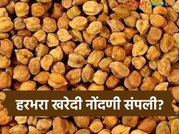 Harbhara Kharedi : हरभऱ्याला हमी दर मिळणार का? नोंदणी संपल्याने शेतकरी चिंतेत - Marathi News | latest news Harbhara Kharedi: Will Harbhara get guaranteed price? Farmers are worried as registration ends | Latest News at Lokmat.com