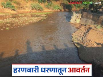 Haranbari Dam : हरणबारी धरणातुन आवर्तन, 'कुठल्या' गावांना मिळणार लाभ, वाचा सविस्तर - Marathi News | Latest News agriculture News Rabi crops benefit from diversion from Haranbari Dam, read in detail | Latest News at Lokmat.com Haranbari Dam : हरणबारी धरणातुन आवर्तन, 'कुठल्या' गावांना मिळणार लाभ, वाचा सविस्तर - Marathi News | Latest News agriculture News Rabi crops benefit from diversion from Haranbari Dam, read in detail | Latest News at Lokmat.com