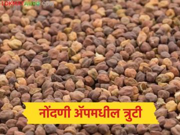 Harbhara Kharedi : हरभरा विक्रीकरिता नोंदणी ॲपमध्ये त्रुटी, गावांची नावे गायब, कर्जाची परतफेड कशी करणार? - Marathi News | Latest News Glitches in Gram Registration App Village Names Go Missing in e kisan samrudhhi app | Latest News at Lokmat.com