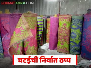 जगभरात फेमस असलेल्या जळगावच्या चटईची निर्यात ठप्प, युद्धामुळे सात देशांनी मागणी थांबवली! - Marathi News | Latest news Jalgaon mat exports halted, seven countries stopped demand due to gulf war | Latest News at Lokmat.com