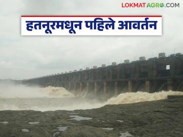 Hatnur Dam : रब्बी हंगामासाठी हतनूर धरणातुन पहिले आवर्तन सुरु, 'या' तालुक्यांत पाणी पोहचेल - Marathi News | Latest News First cycle of water from Hatnur dam for Rabi season begins, 37 thousand hectares of land will benefit | Latest News at Lokmat.com