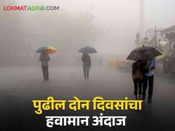 Maharashtra Rain Update : राज्यात 07 जुलै रोजी कोणत्या जिल्ह्यांना पावसाचा इशारा? जाणून घ्या सविस्तर  - Marathi News | Latest News Weather Update Rain alert for these districts on July 07 in maharashtra Know in detail  | Latest News at Lokmat.com