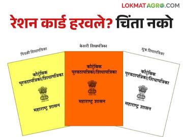 Hitech Ration Card : काय सांगताय हायटेक रेशनकार्ड; कसे मिळणार वाचा सविस्तर - Marathi News | What Say Hitech Ration Card ; How to get read in detail | Latest News at Lokmat.com