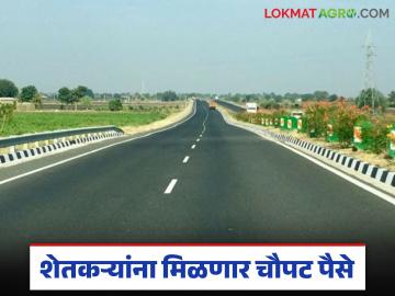 राज्यात 'ह्या' महामार्गासाठी बाधित शेतकऱ्यांना मिळणार चौपट नुकसानभरपाई; लवकरच खात्यावर पैसे - Marathi News | Farmers affected by 'this' highway in the state will get four times the compensation; Money will be in their accounts soon | Latest News at Lokmat.com