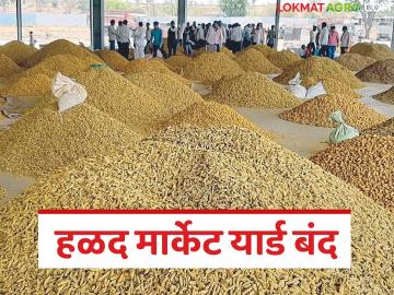 Halad Market : हिंगोलीत हळदीचा पूर! मोजमापाला २ दिवस, प्रशासनाने घेतला मोठा निर्णय - Marathi News | latest news Halad Market: Turmeric flood in Hingoli! 2 days to measure, administration takes big decision | Latest News at Lokmat.com