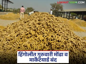 Hingoli Market Yard : हिंगोली बजारात उद्या शेतमाल व्यवहार बंद; काय आहे कारण वाचा सविस्तर - Marathi News | latest news Hingoli Market Yard: Agricultural goods trading will be closed tomorrow in Hingoli Market Yard; Read the reason in detail | Latest News at Lokmat.com