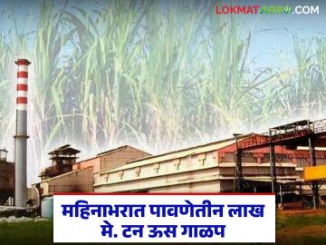 वसमतच्या तीन साखर कारखान्यांनी महिनाभरात केले पावणेतीन लाख मे. टन ऊस गाळप - Marathi News | Vasmat's three sugar factories crushed three and a half lakh metric tons of sugarcane in a month | Latest News at Lokmat.com वसमतच्या तीन साखर कारखान्यांनी महिनाभरात केले पावणेतीन लाख मे. टन ऊस गाळप - Marathi News | Vasmat's three sugar factories crushed three and a half lakh metric tons of sugarcane in a month | Latest News at Lokmat.com