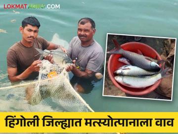 Fish Farming : हिंगोली जिल्ह्यात मत्स्योत्पादनाला चालना, तोंडापूर केव्हीकेत 2 कोटी मत्स्यबीजनिर्मिती - Marathi News | Latest News Promotion of fish production in Hingoli district, production of 2 crore fish seeds in Tondapur KVK | Latest News at Lokmat.com Fish Farming : हिंगोली जिल्ह्यात मत्स्योत्पादनाला चालना, तोंडापूर केव्हीकेत 2 कोटी मत्स्यबीजनिर्मिती - Marathi News | Latest News Promotion of fish production in Hingoli district, production of 2 crore fish seeds in Tondapur KVK | Latest News at Lokmat.com
