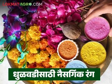 फळे, फुले व पाने यांचा वापर करून घरच्या घरी कसे बनवाल नैसर्गिक रंग; जाणून घ्या सविस्तर - Marathi News | How to make natural colours at home using fruits, flowers and leaves; Learn in detail | Latest News at Lokmat.com