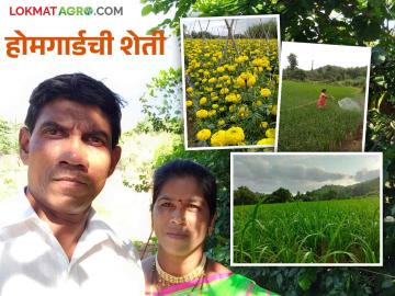 Farmer Success Story: देशसेवा करता आली नाही, मातीची सेवा करत केली प्रयोगशील शेती - Marathi News | Farmer Success Story: Couldn't serve the country, did experimental farming while serving the soil | Latest News at Lokmat.com Farmer Success Story: देशसेवा करता आली नाही, मातीची सेवा करत केली प्रयोगशील शेती - Marathi News | Farmer Success Story: Couldn't serve the country, did experimental farming while serving the soil | Latest News at Lokmat.com