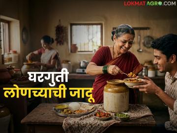 Homemade Pickle : घरगुती लोणच्याची जादू; जेवणाची चव वाढवणारा खास फॉर्म्युला - Marathi News | latest news Homemade Pickle: The magic of homemade pickle; A special formula that enhances the taste of food | Latest farming-ideas News at Lokmat.com