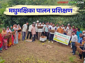 Agriculture News : मालेगाव केव्हीकेचे पाच दिवसीय मधुमक्षिका पालन प्रशिक्षण संपन्न - Marathi News | Latest News Agriculture News Malegaon KVK's five-day beekeeping training is completed | Latest News at Lokmat.com