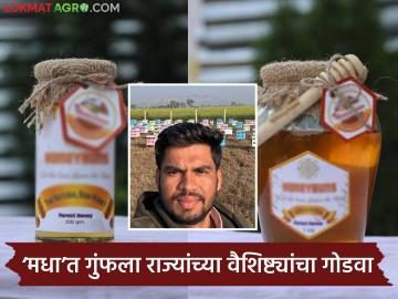 Farmer Success Story : बारावी पास तरुणाची कमाल! मधमाशी पालनातून उभा केला कोट्यवधींचा स्टार्टअप - Marathi News | latest news Farmer Success Story: The miracle of a 12th pass youth! He created a startup worth crores from beekeeping | Latest News at Lokmat.com Farmer Success Story : बारावी पास तरुणाची कमाल! मधमाशी पालनातून उभा केला कोट्यवधींचा स्टार्टअप - Marathi News | latest news Farmer Success Story: The miracle of a 12th pass youth! He created a startup worth crores from beekeeping | Latest News at Lokmat.com