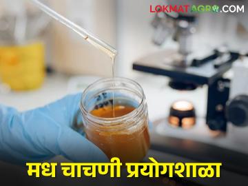देशातील पाचवी मध चाचणी प्रयोगशाळा रांचीत, पूर्व भारतात आता मधाची क्रांती  - Marathi News | Latest News Country's 5th Honey Testing Laboratory in Ranchi by minister arjun munda | Latest News at Lokmat.com