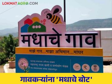 खादी ग्रामोद्योग मंडळाच्या या नावीन्यपूर्ण उपक्रमासाठी तुमच्या गावाला मिळू शकते ५६ लाखांचे अनुदान.. वाचा सविस्तर - Marathi News | Your village can get a grant of 56 lakhs for this innovative initiative of Khadi Gramodyog Mandal.. Read more | Latest News at Lokmat.com