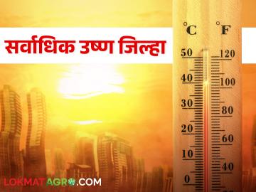 राज्यात ह्या जिल्ह्यात तापमान पोहचले ४४ अंशावर - Marathi News | The temperature reached 44 degrees in this district of the state | Latest News at Lokmat.com