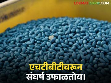 HTBT Cotton Seeds : एचटीबीटीवरून संघर्ष उफाळतोय; ठोस निर्णयाची गरज वाचा सविस्तर - Marathi News | latest news HTBT Cotton Seeds: Conflict erupts over HTBT; Need for concrete decision Read in detail | Latest News at Lokmat.com HTBT Cotton Seeds : एचटीबीटीवरून संघर्ष उफाळतोय; ठोस निर्णयाची गरज वाचा सविस्तर - Marathi News | latest news HTBT Cotton Seeds: Conflict erupts over HTBT; Need for concrete decision Read in detail | Latest News at Lokmat.com