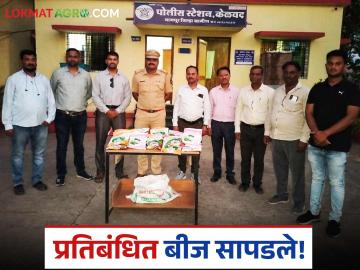 HTBT Cotton Seed : शेतकऱ्याच्या घरून कापसाचे प्रतिबंधित बियाणे जप्त; काय आहे प्रकरण वाचा सविस्तर - Marathi News | latest news HTBT Cotton Seed: Banned cotton seeds seized from farmer's house; Read the case in detail | Latest News at Lokmat.com