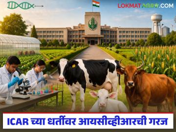 देशात स्वतंत्र भारतीय पशुवैद्यक संशोधन परिषद (आयसीव्हीआर)ची का गरज आहे? वाचा सविस्तर - Marathi News | Why is there a need for an independent Indian Council of Veterinary Research (ICVR) in the country? Read in detail | Latest News at Lokmat.com