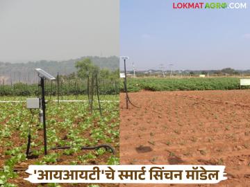 दुष्काळी भागासाठी शेतीच्या पाण्यात करा ३० टक्क्यांपर्यंत बचत; आयआयटीने केले 'हे' मॉडेल विकसित - Marathi News | Save up to 30 percent of agricultural water for drought-prone areas; IIT develops 'this' model | Latest News at Lokmat.com
